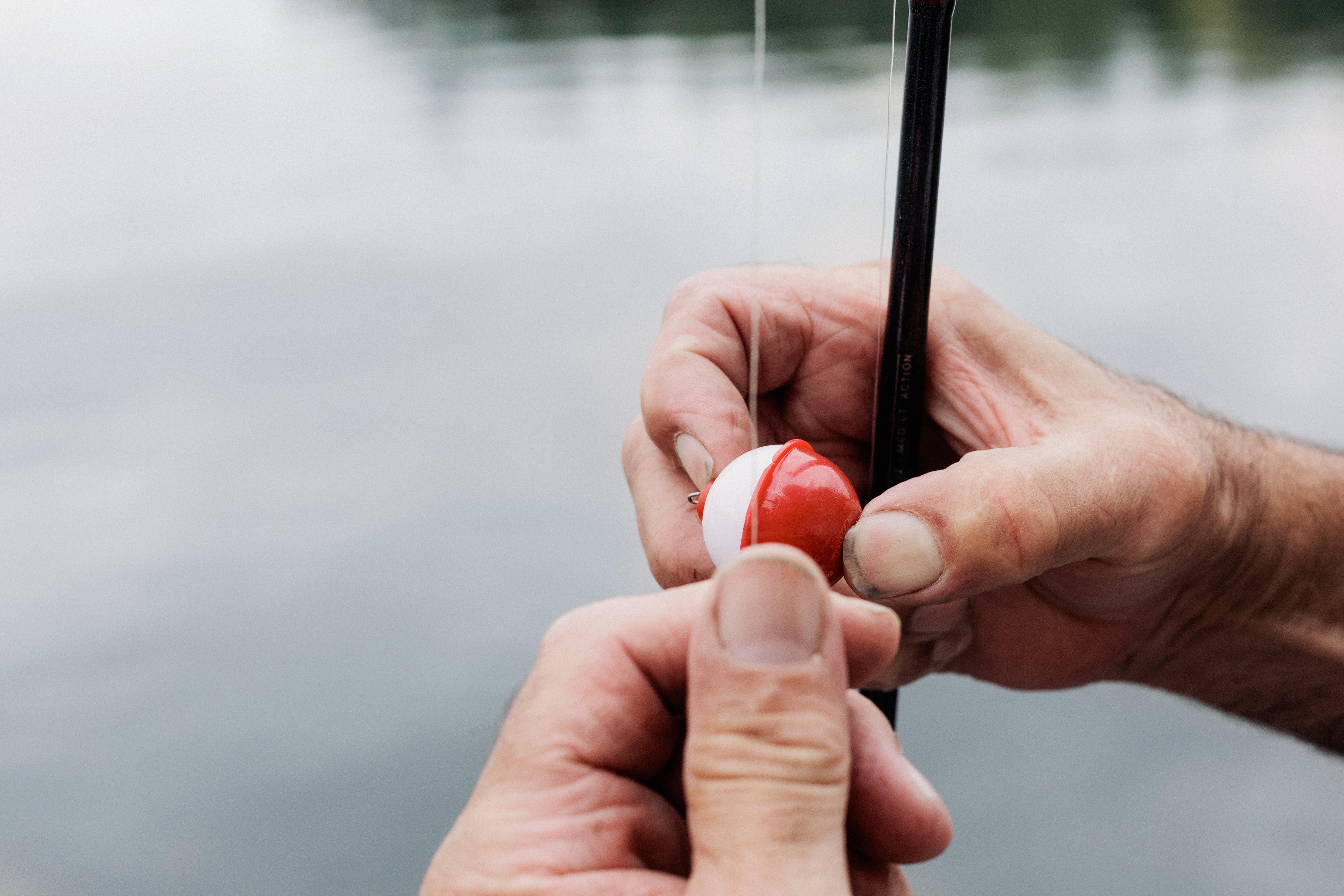 Capture the Moment with Us: Your Partner in the World of Fishing! – Martin  Fishing